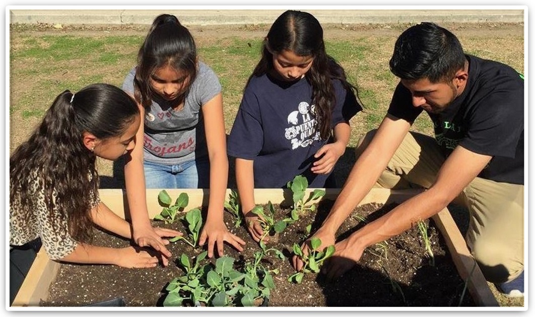 community composting